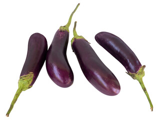 fresh eggplants isolated on white background