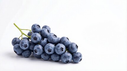 Grapes on green stem isolated on white background.