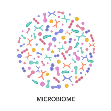 Probiotic bacteria set in circle. Gut microbiota with healthy prebiotic bacillus. MICROBIOME concept.