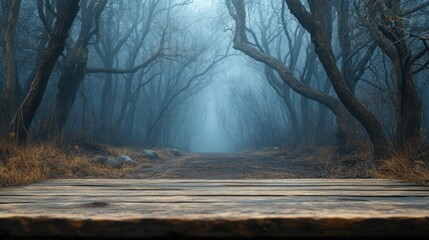 Mysterious Foggy Forest Path with Wooden Table.