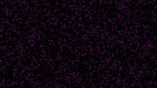 Magenta cellular automaton evolving pattern