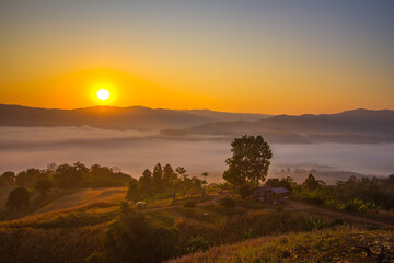 sunrise in the mountains with sea of mist