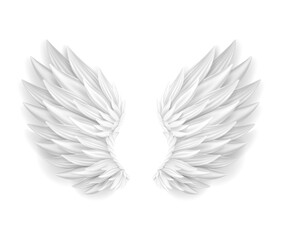 Fototapeta premium Angle Wing