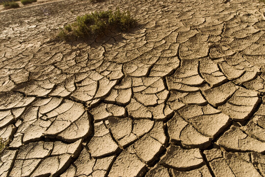 USA, Arizona, Many Farms (near Chinle) in the Navajo Indian Reserve.  Dry cracked earth in desert floodplain.