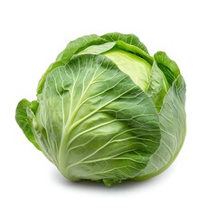 Obraz premium Fresh Green Cabbage with Vibrant Leaves on White Background for Healthy Cooking