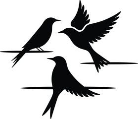 Fototapeta premium Minimalist black bird silhouettes perched on wires and flying in white background, symbolizing freedom, nature, balance, simplicity