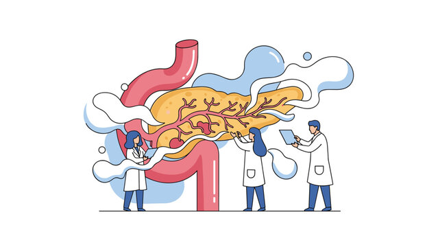 Team of medical specialists uses diagnostic charts to examine the human pancreas and liver for better health management and disease prevention.