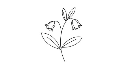 Obraz premium Delicate line illustration of a bellflower plant with two drooping bell-shaped blossoms and small leaves on a white background.