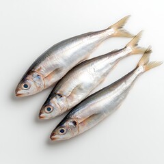 Obraz premium Fresh whole fish on white background ready for preparation and cooking in kitchen