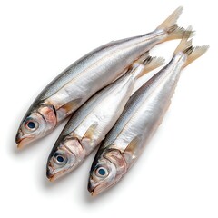 Fototapeta premium Fresh Silver Fish on White Background Ready for Market and Culinary Preparation