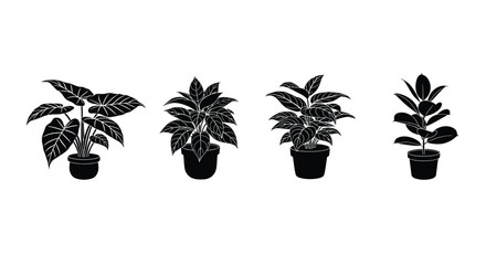 Black and white silhouettes of various potted indoor plants © Helal