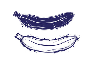 Grunge texture Two bananas in different shades with artistic splashes around  a creative fruit illustration Vintage Style