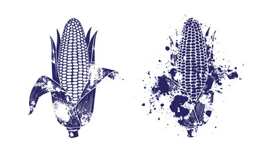Grunge texture Two blue illustrations of corn on the cob with leaves and paint splatters on white background Vintage Style
