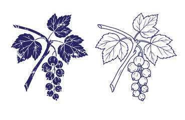 Grunge texture Two blue vine branches with leaves and grapes side by side on white background Vintage Style