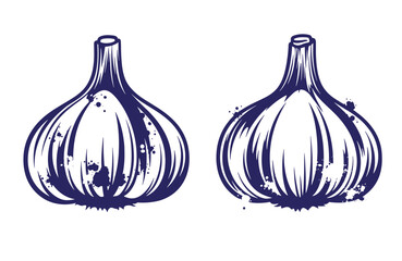 Grunge texture Two bulbs of garlic in a dark blue illustration style on a white background  culinary ingredients for cooking and recipe design Vintage Style