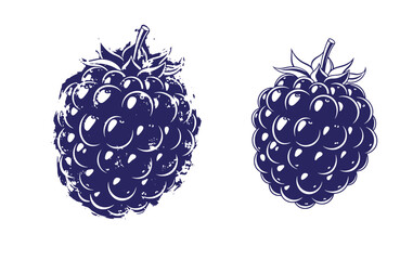 Grunge texture Two dark blue blackberry illustrations with white highlights on white background Vintage Style