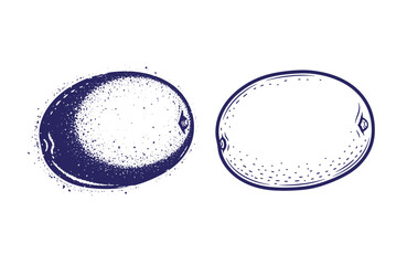 Grunge texture Two navy blue circles with grungy texture and splatters on white background  moon or planet illustrations Vintage Style