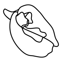 Butterfly Pea line icon