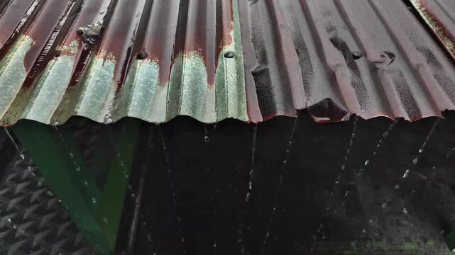 Rainwater flows from the zinc roof