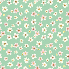 Small Pink and White Flowers Scattered on Mint Green Background