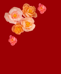 Paper craft romantic flowers foliage isolated on red background