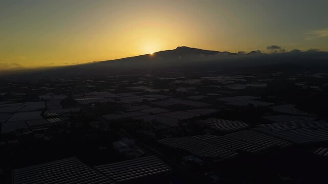 Drone overlooking agricultural fields on Jeju island, sundown in South Korea