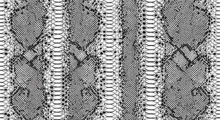Seamless Black and White Snakeskin Texture Pattern Background
