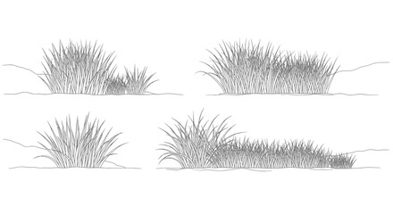 Set of four hand-drawn grass clumps, sketch style, isolated on white © Yunan