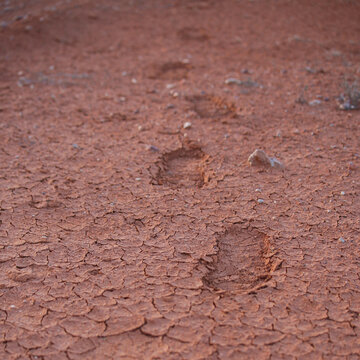 Human footprints on cracked soil, red clay of Australia. Dry, red-brown, cracked and dusty ground surface