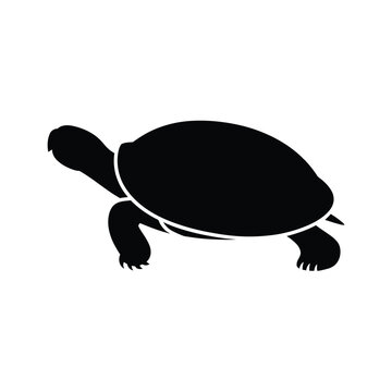 Black turtle silhouette with transparent background isolated desig