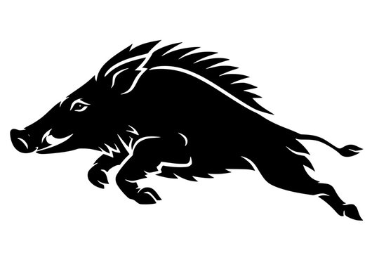 High-contrast black silhouette of a wild boar or razorback in a dynamic charging pose. This minimalist graphic illustration features sharp, jagged lines to represent the boar's coarse fur and tusks