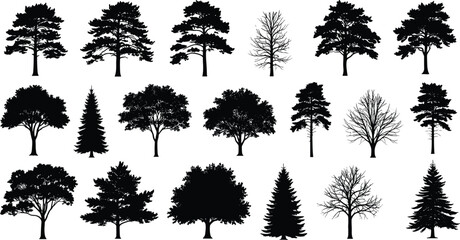 Fototapeta premium Black tree silhouettes collection, conifer and deciduous forest illustration set, isolated woodland shapes, seasonal nature design elements