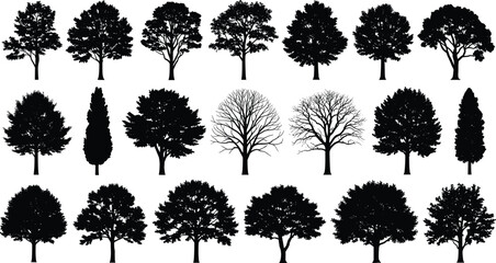 Fototapeta premium Large collection of black tree silhouettes with deciduous, evergreen and leafless varieties, isolated on white background, natural forest illustration set