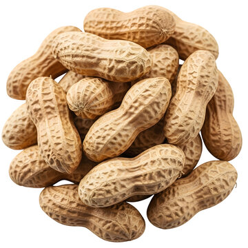 A pile of peanuts isolated on transparent background