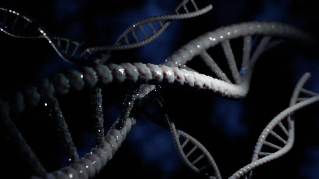 3D medical DNA animation. Realistic macromolecules storing genetic information, suitable for healthcare presentations, medical education, pharmaceutical advertising, and scientific documentaries. 4K