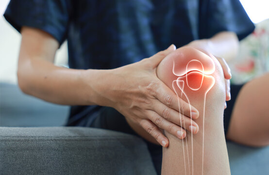 Woman massaging her painful knee with anatomical joint and bone illustration. Knee osteoarthritis, patellar tendonitis, meniscus tear and inflammation concept for medical health care.