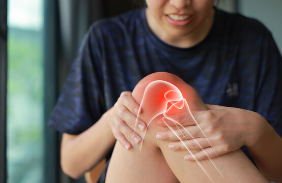 Woman massaging her painful knee with anatomical joint and bone illustration. Knee osteoarthritis, patellar tendonitis, meniscus tear and inflammation concept for medical health care.