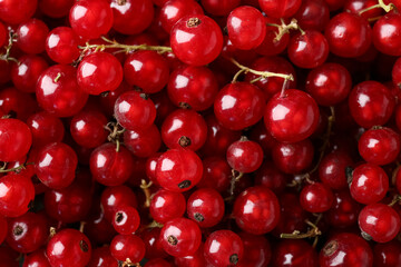 Juicy red currant as background, closeup