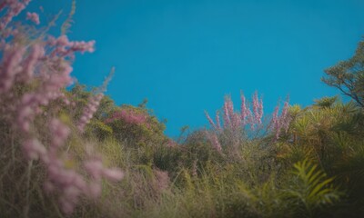 Lush pink blooms and green foliage frame the crisp, cloudless sky