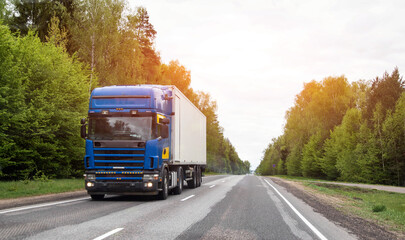 Blue heavy commercial truck with white semi-trailer transports cargo along open highway flanked by lush green forest under overcast sky during day © HENADZY