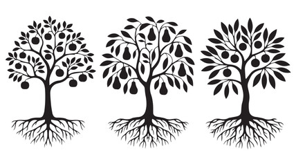 Obraz premium Three stylized trees with roots and fruits illustration