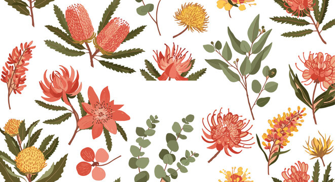 Colorful botanical illustrations of australian native flowers and leaves on white background