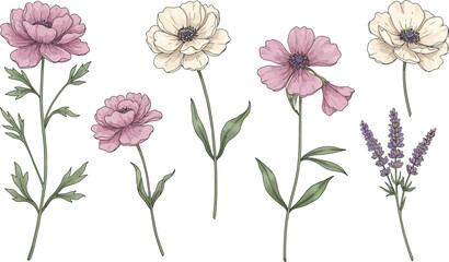Naklejka premium Colorful illustration of pink and white flowers on stems with leaves and buds