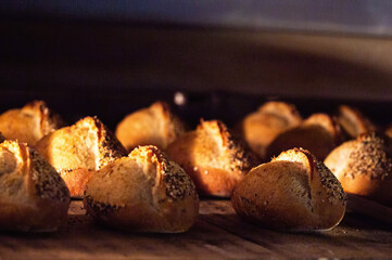 Freshly baked bread rolls with crispy golden crust and seeds, arranged on baking sheet, baking inside warm professional bakery oven