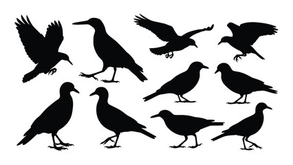 Obraz premium A diverse collection of black silhouettes of various birds in flight and perched Vector