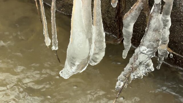 Thick icicles hang from branches over a murky, moving stream. As the ice melts, water drops hit the surface of the river. The water below flows with a soft, steady hum.