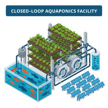 Closed Loop Aquaponics Facility System Diagram.