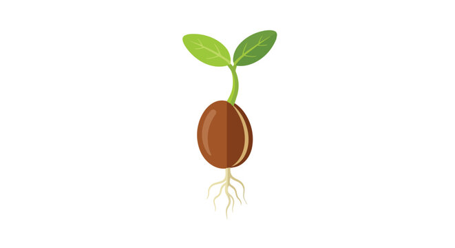 Graphic illustration of a sprouting seed with vibrant green leaves and detailed roots, depicting the cycle of growth and new life in botanical forms.