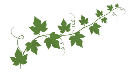 Stylized green vine illustration with distinct lobed leaves and intricate curling tendrils, ideal for natural design elements and decorative accents
