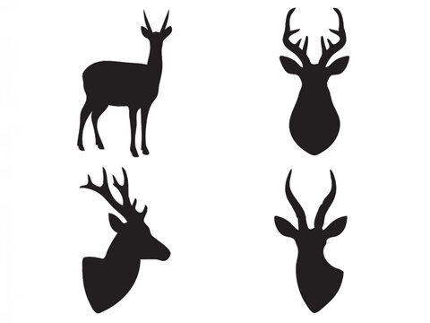 Takin full, Musk deer head, Nilgai full, Blackbuck head